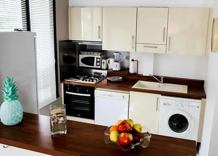 F3 - Guerin Locations 公寓 比亚里茨